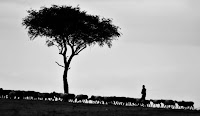 Shepherd - Photo by Pawan Sharma on Unsplash