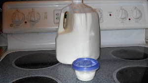 Step #1: Yogurt Making