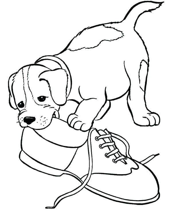beautiful animals coloring page part 6
