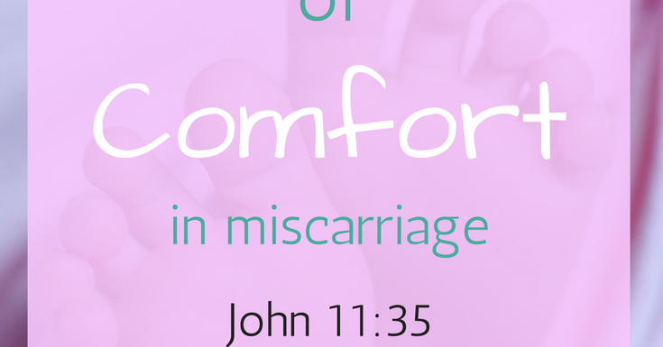 The Rebellious Pastor's Wife Words of Comfort in Miscarriage