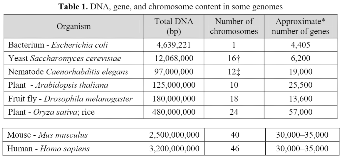 Structure of Chromosomes: Prokaryotic and Eukaryotic