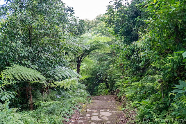 Gunung Lempuyang - Bali