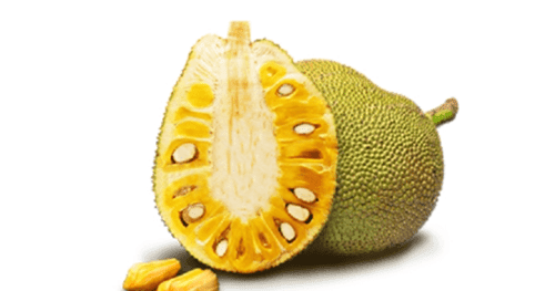 Erek Erek Nangka 4d 3d 2d Arti Dan Angka Mimpi Buah Nangka Erek Erek Erek Erek Nangka 4d 3d 2d Arti Dan Angka Mimpi Buah Nangka Erek Erek
