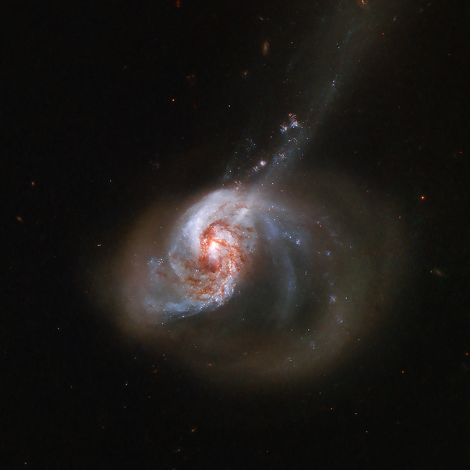 JeanBaptiste Faure Peculiar Barred Spiral Galaxy NGC 1614