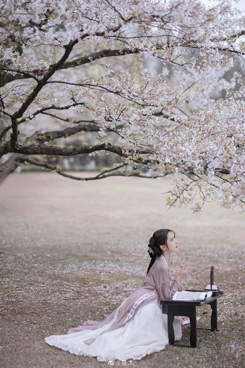 Image-Chinese-cute-model-Beautiful-girl-with-Chinese-historical-costume-TruePic.net