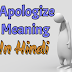 Apologize Meaning | Apologize Meaning In Hindi