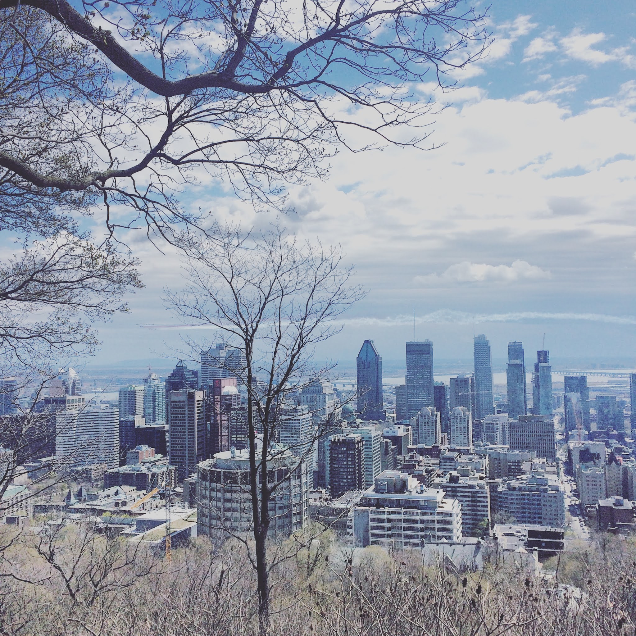 the view of Montréal from Mount Royal