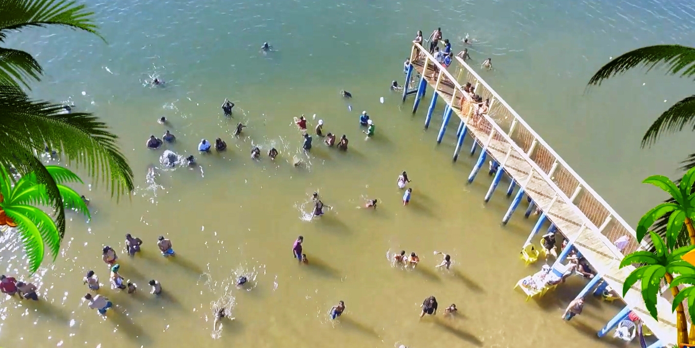 OLHANDO DA JANELA DO TREM BARRA DO OURO / TOCANTINS / BRAZIL (0526 / 5