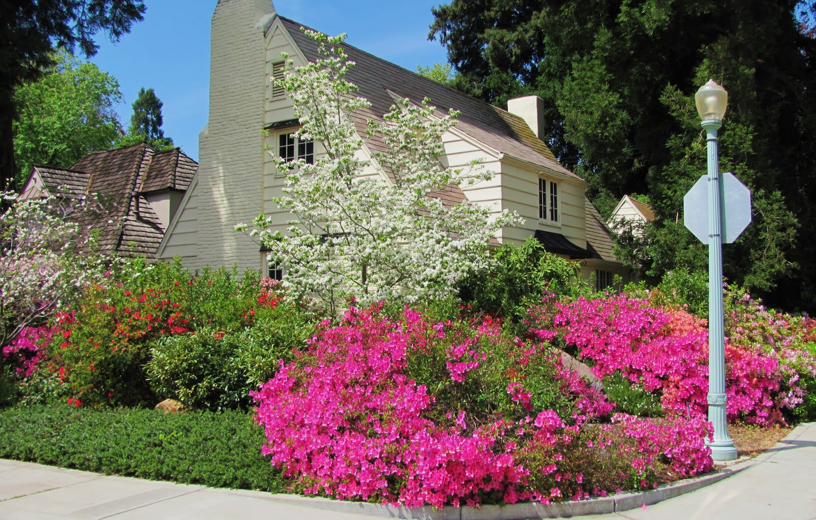 geno's blog: Azalea Walk