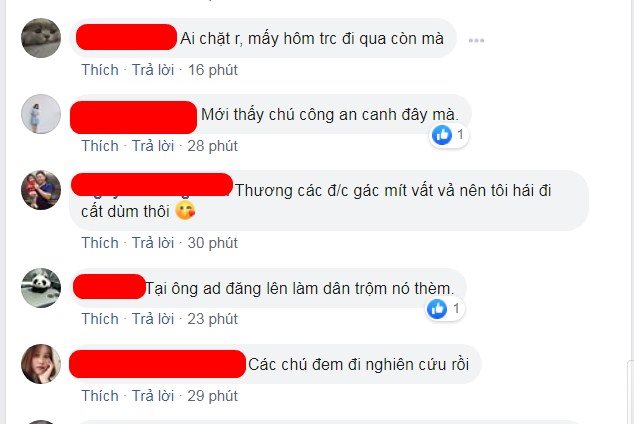 “Quả mít an toàn nhất Việt Nam” đột nhiên mất tích sau hơn 1 tuần được chia sẻ trên mạng