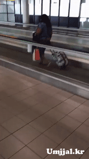 Umjjal_kr_720.gif
