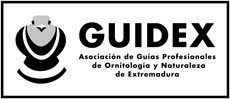 socio fundador de guidex