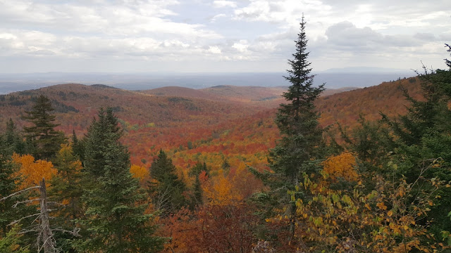 Point de vue à partir du somment du mont Chapman