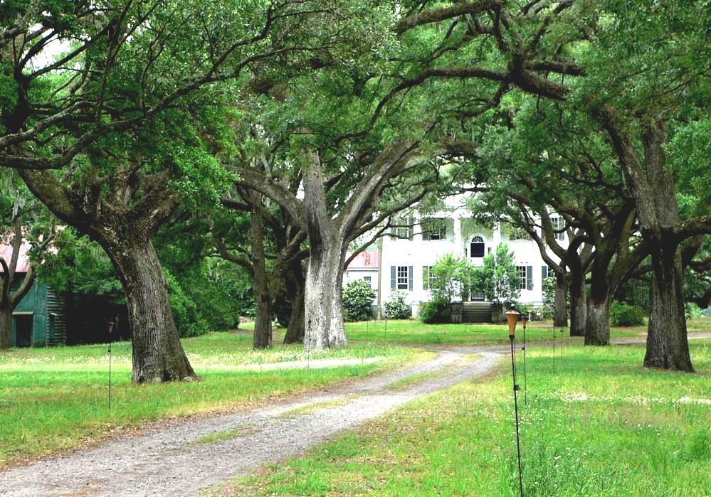 South Carolina Plantations Map