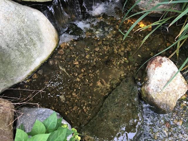 stream bed mechanical filtration
