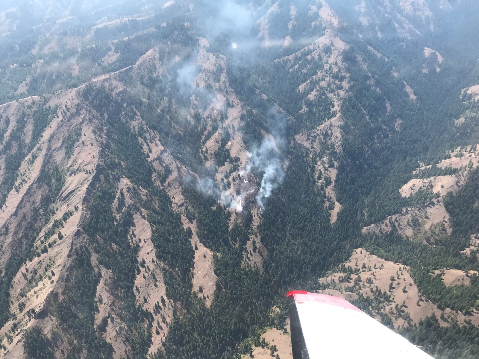 Blue Mountain Fire 2024 Lula Valera