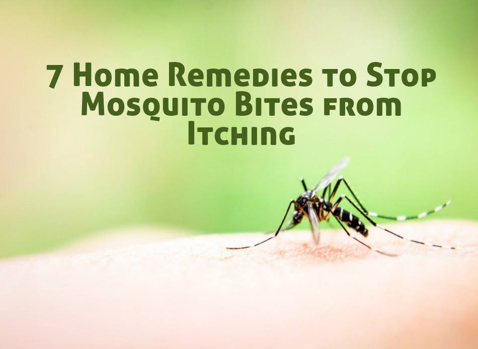 how-to-stop-mosquito-bites-from-itching-with-these-home-remedies