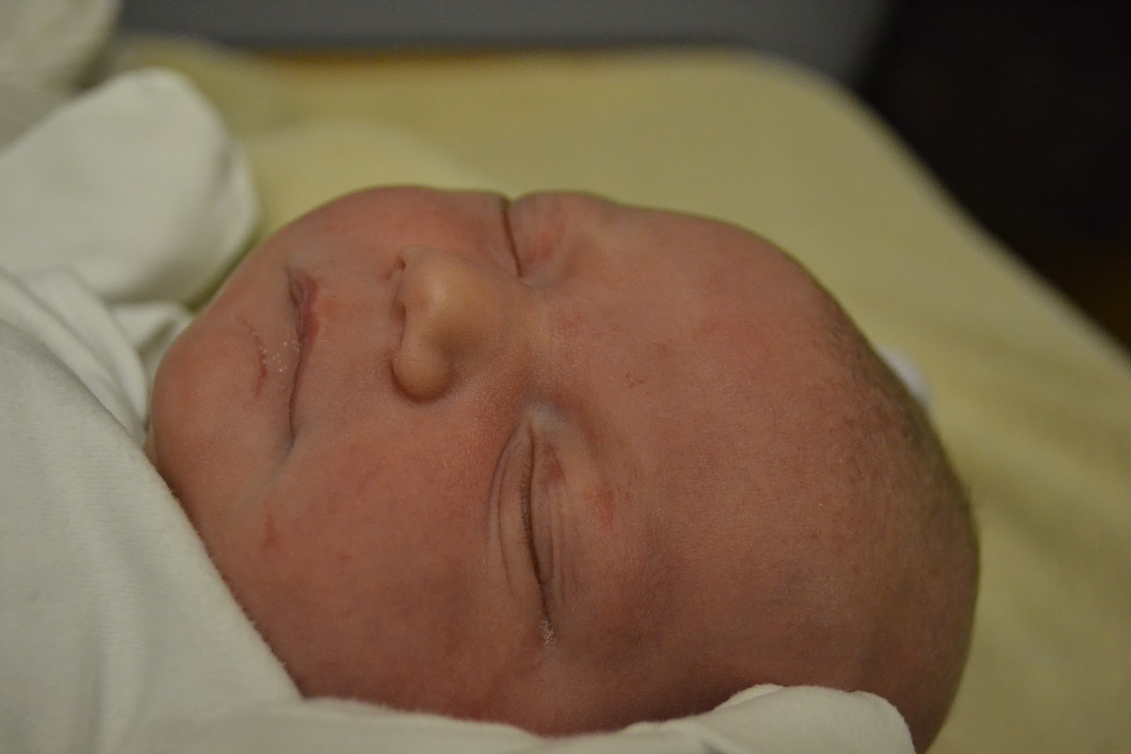 Team Studer: On the day you were born, Gemma Rose&mldr;