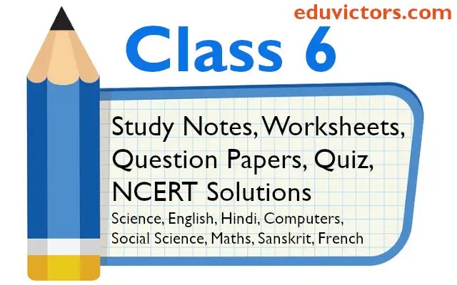 Cbse Papers Questions Answers Mcq Class 6<script async src=