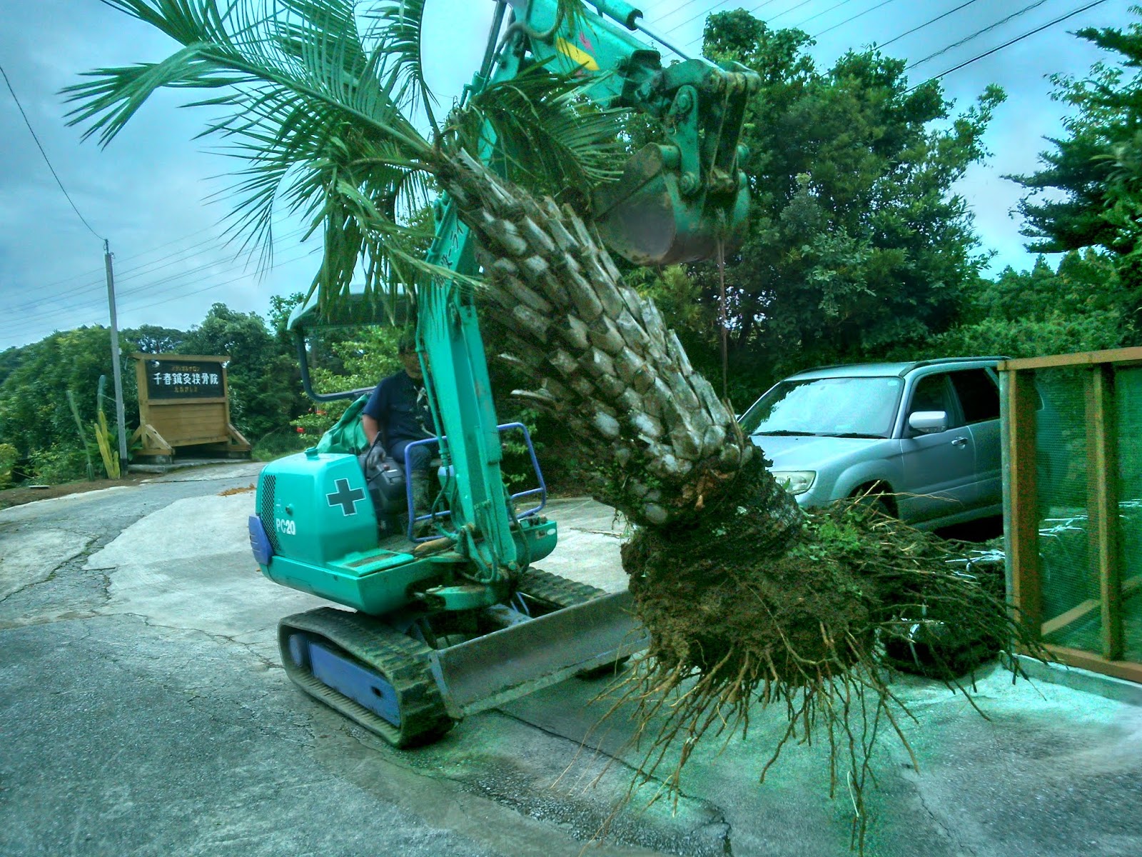 ココスヤシ 20年 ココスヤシ 20年