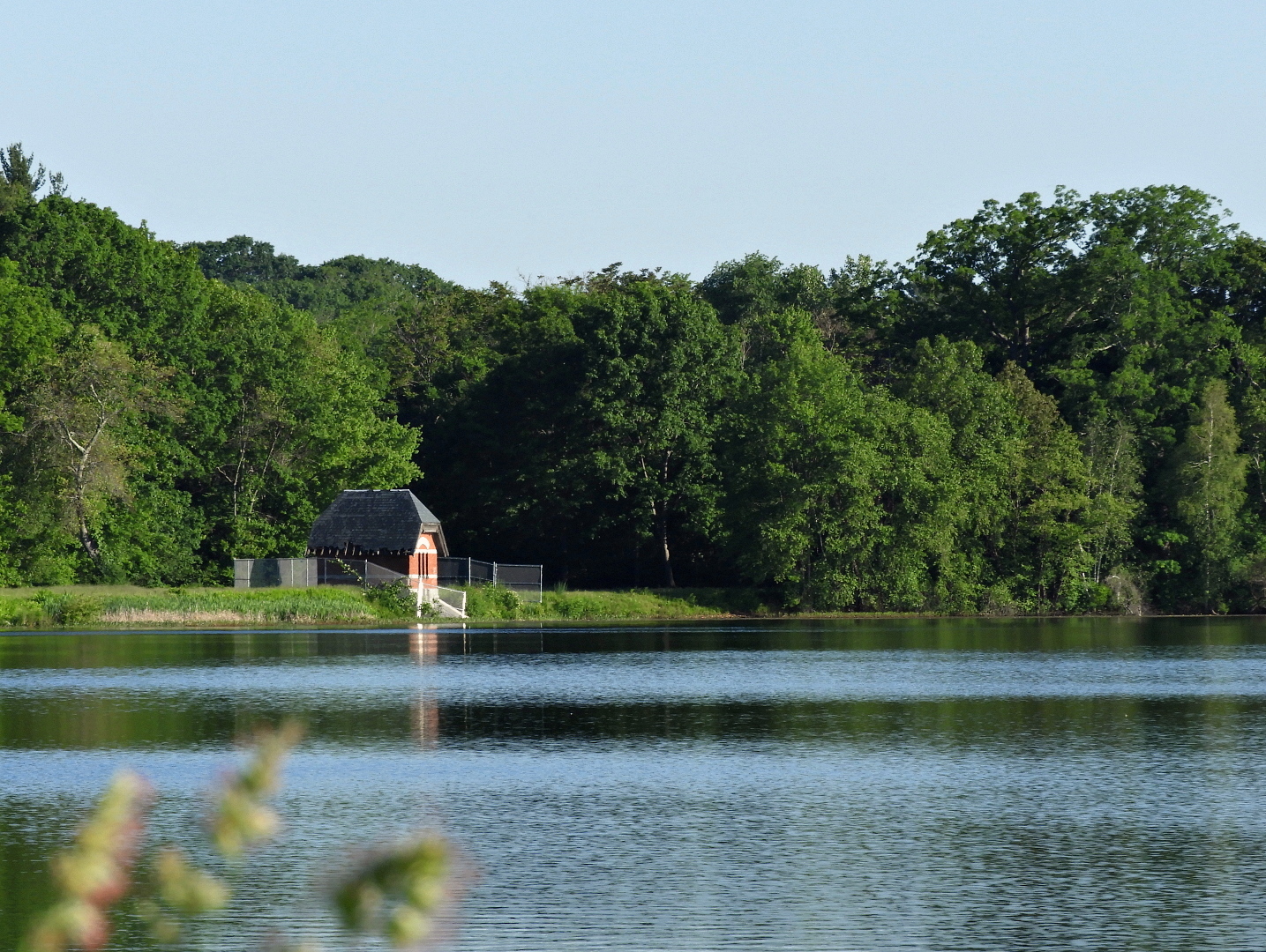 o6cpcs 6/8/17, Farm Pond Framingham