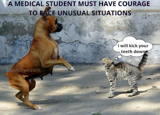 MEDICAL STUDENT COURAGE SKILL MEME
