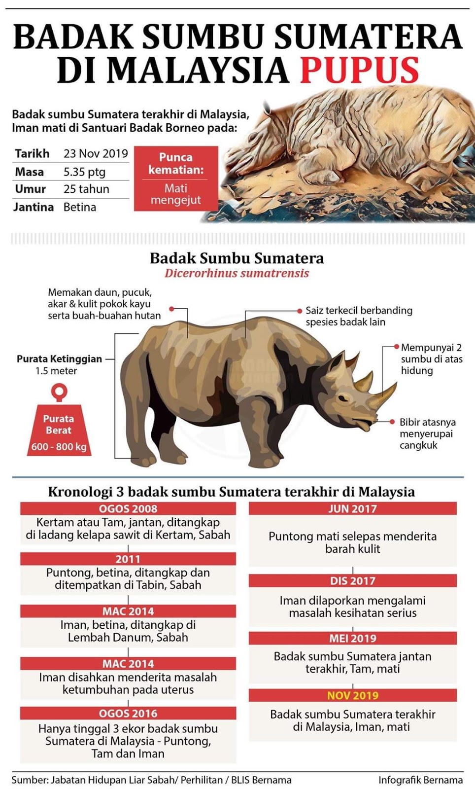 Badak sumbu sumatera di Malaysia pupus