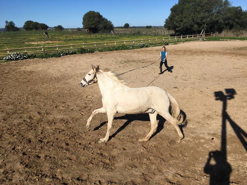 Cortijo El Indiviso, ranch, volunteer project, food and accommodation, Cadiz, Spain