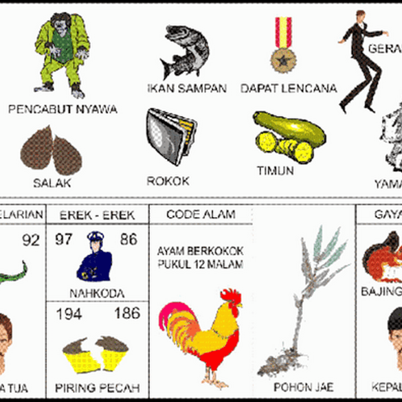 Menabrak Kucing Angka Togelnya - Kicau Sejati