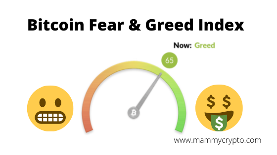 Bitcoin Fear and Greed Index - Measuring Crypto Sentiment