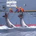 Japón reanudará este lunes caza de ballenas