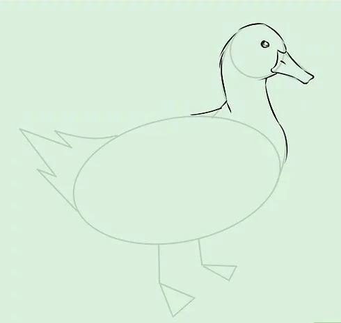 تعليم الرسم للاطفال رسم بطة رسومات سهلة draw duck