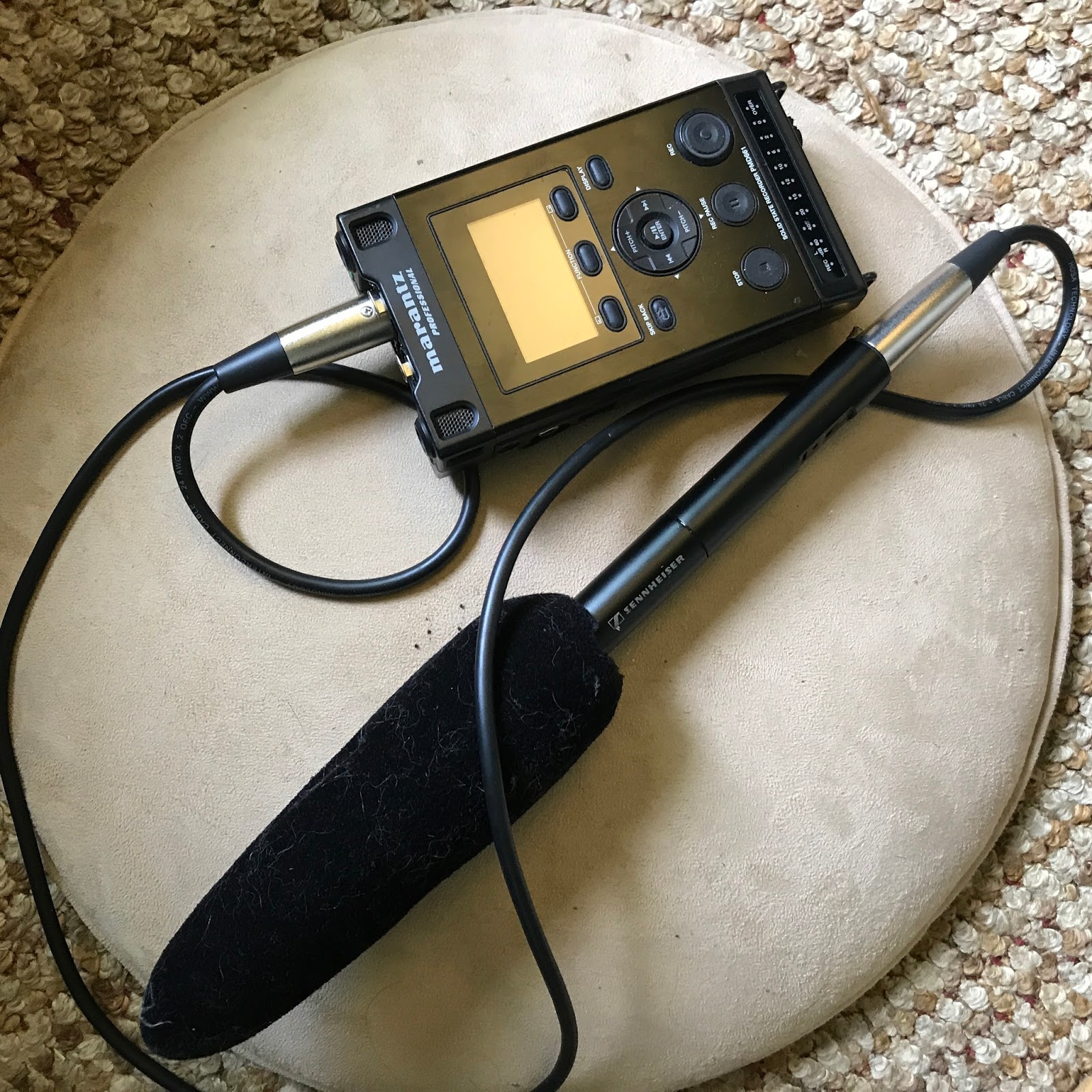 Laura's Birding Blog My sound recording equipment