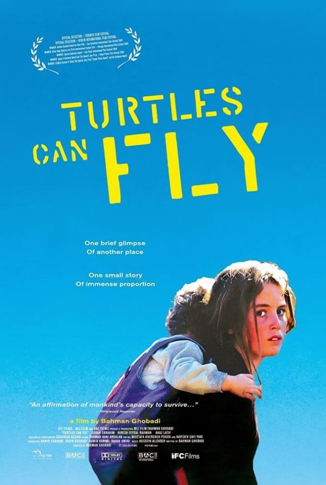 Las tortugas pueden volar