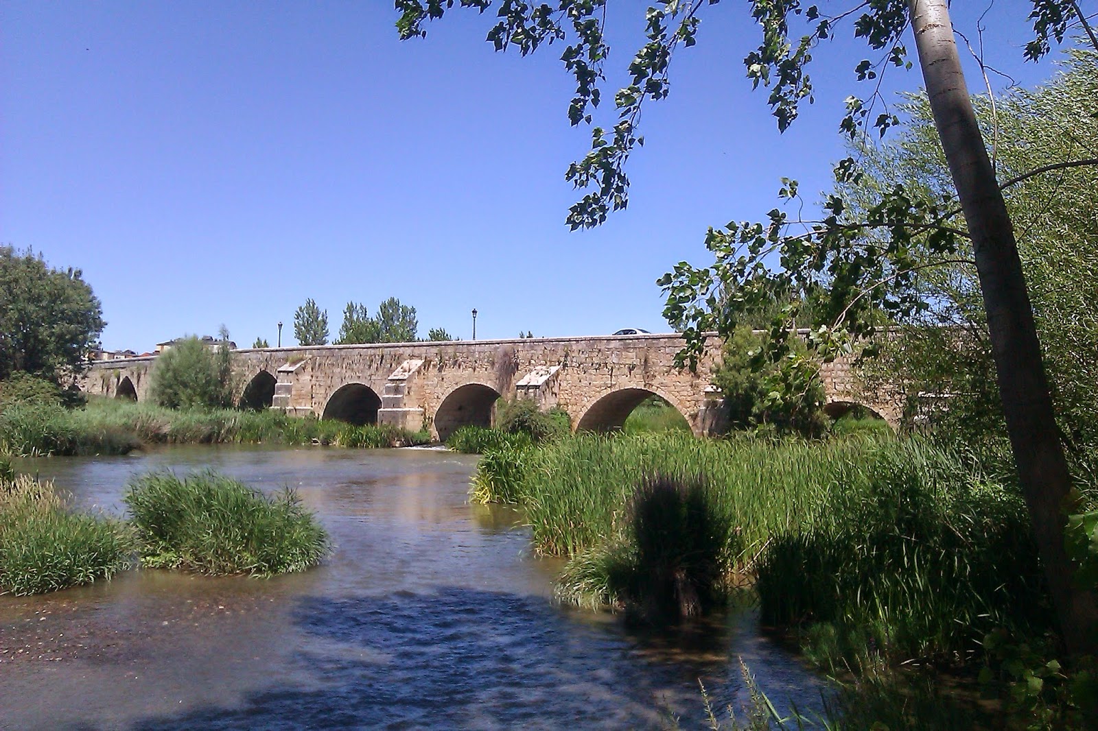 Descubriendo el Canal de Castilla MI