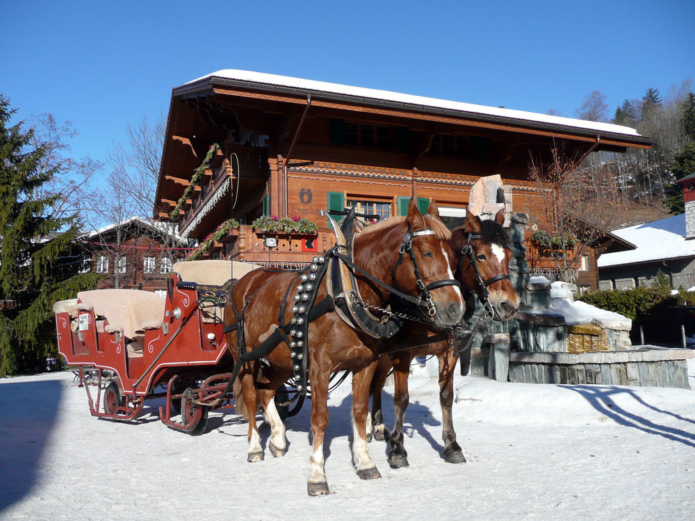 Dashing through the snow-covered Swiss countryside in your very own horse-drawn sleigh. Photo: Gstaad Saanenland Tourismus.