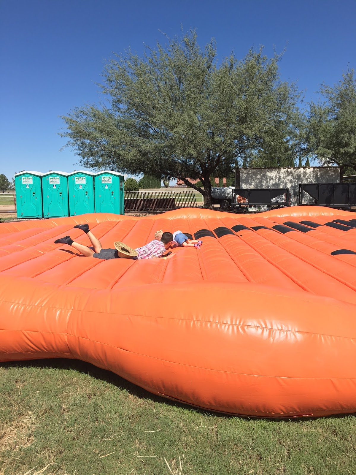 The Life of a Mediocre Housewife A Day at the Pumpkin Patch