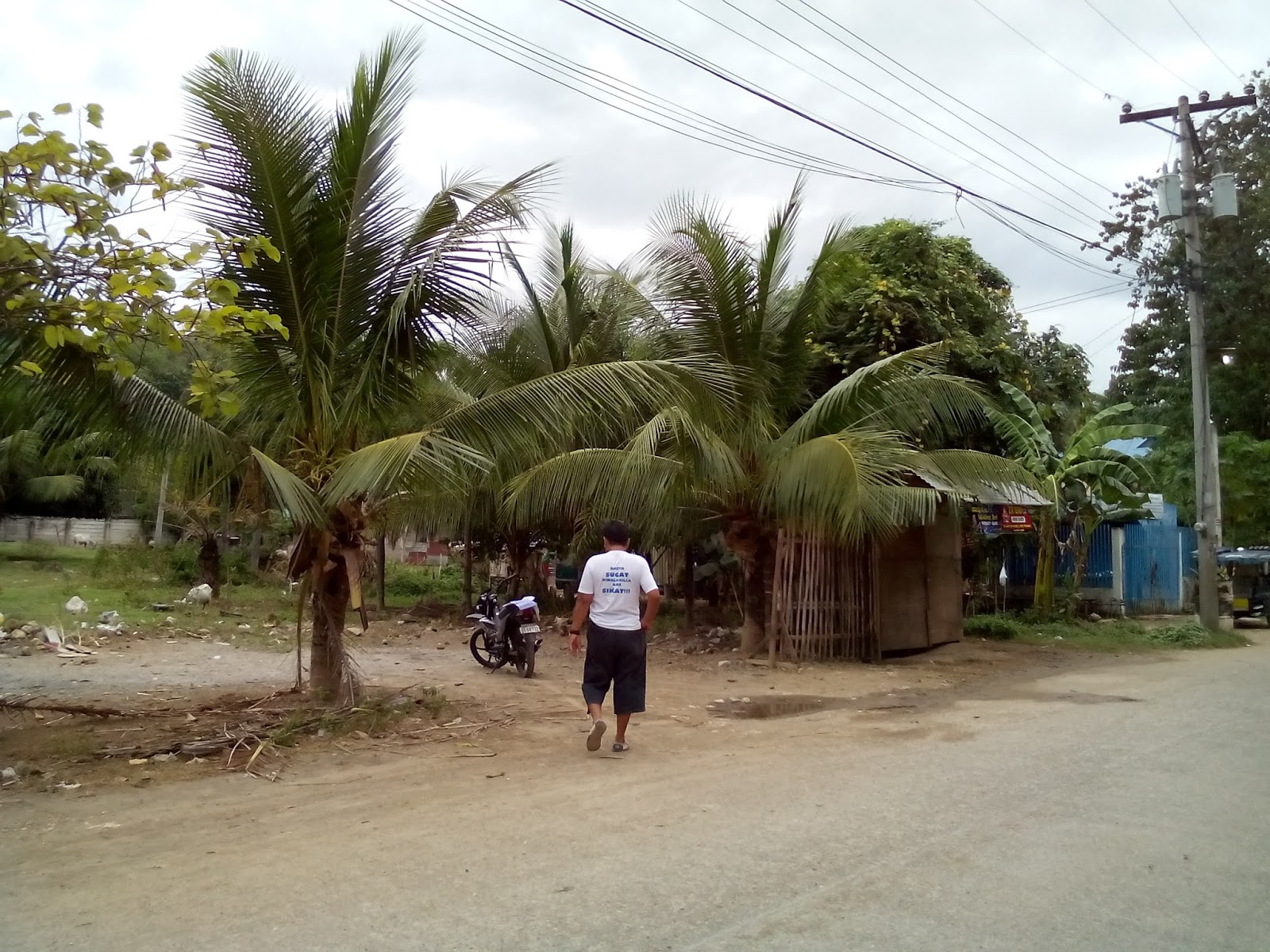 REAL ESTATE PROPERTY IN THE PHILIPPINES 4882 sq.m. Lot for sale at