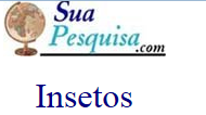 http://www.suapesquisa.com/ecologiasaude/insetos/