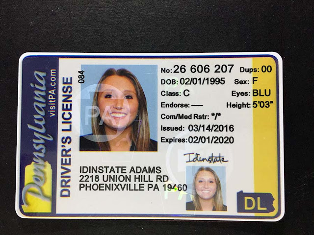 Fake Driving License