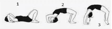 Materi Pola Gerak Senam Lantai Sikap Kayang, Headstand Dan Hansdstand ...