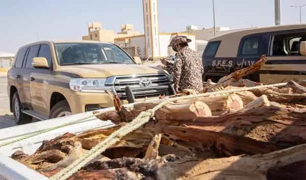 News, World, Gulf, Riyadh, Saudi Arabia, Punishment, Sales, Firewood seized in Saudi Arabia and 12 arrested