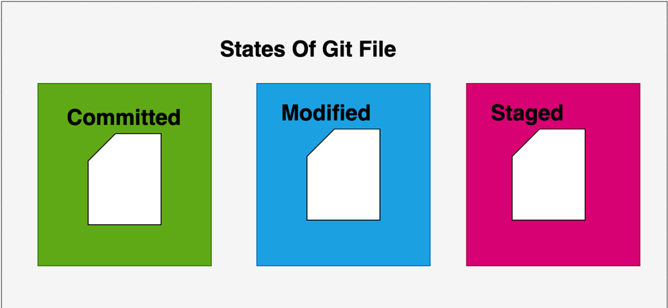 Programming for beginners: Git: Different states (staging, committed,  modified)