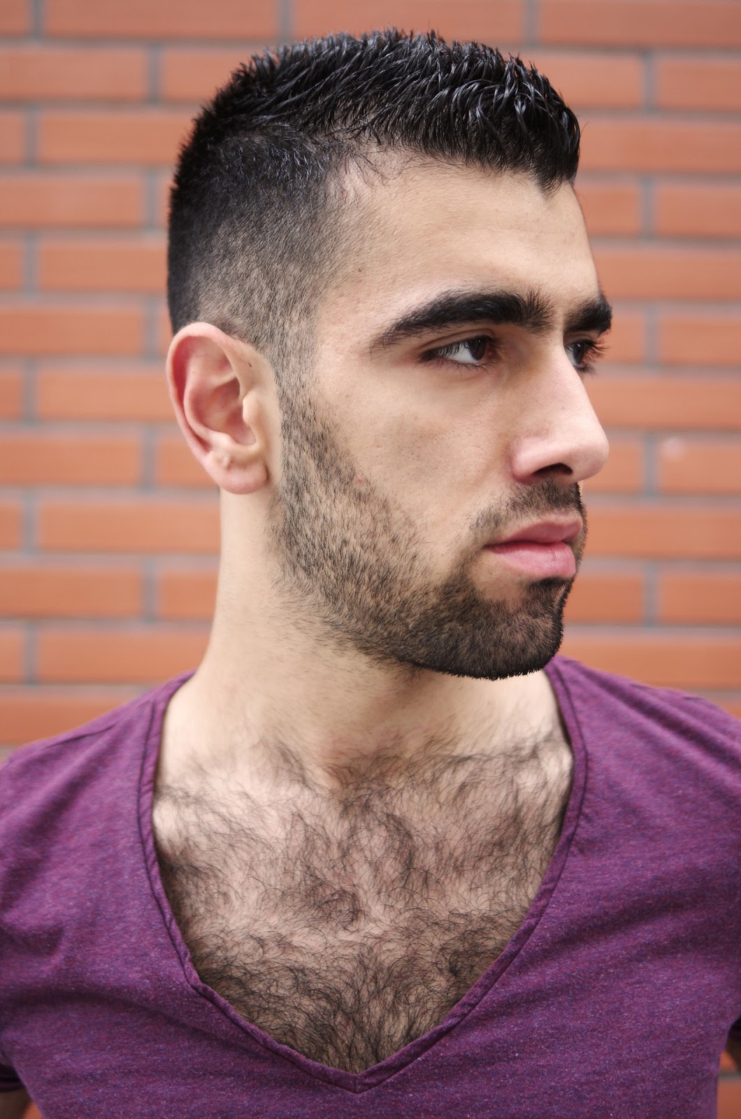 hairygayspoilus 2015