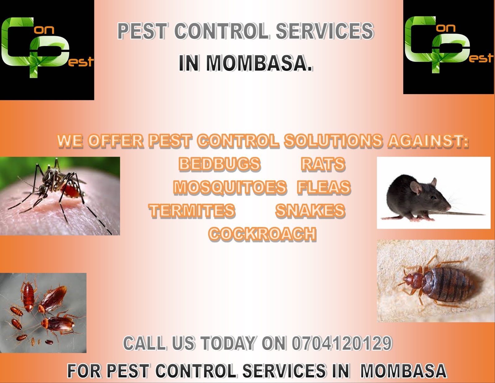 Fumigation / Pest Control Services in Nairobi Fumigation and Pest
