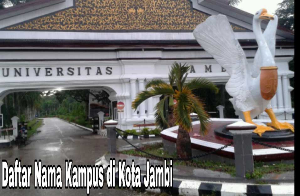 7+ Kampus Terbaik di Kota Jambi Fakta Kampus