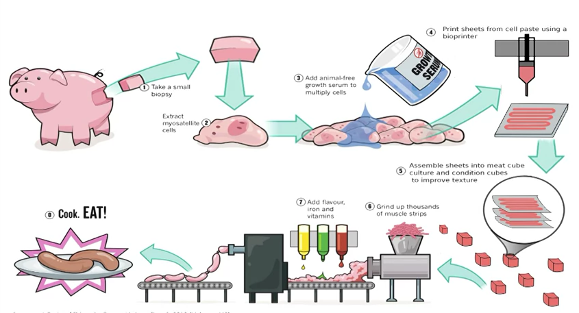 Solve for X: Sustainable, scalable 3D printed meat | NextBigFuture.com
