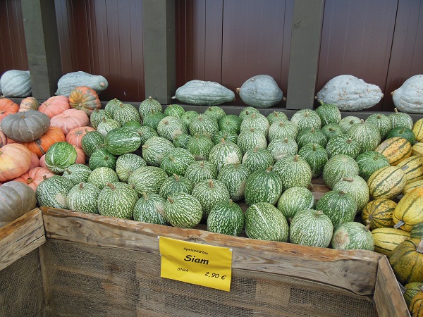 Petra´s Bastelideen: Oktober 2012