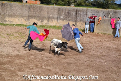 https://picasaweb.google.com/112628067891720623695/SantoEstevaoGanadJoseDiasFestaCamperaRocierasAlcocheteReportagemFotografica220314#slideshow/6008595217472770418