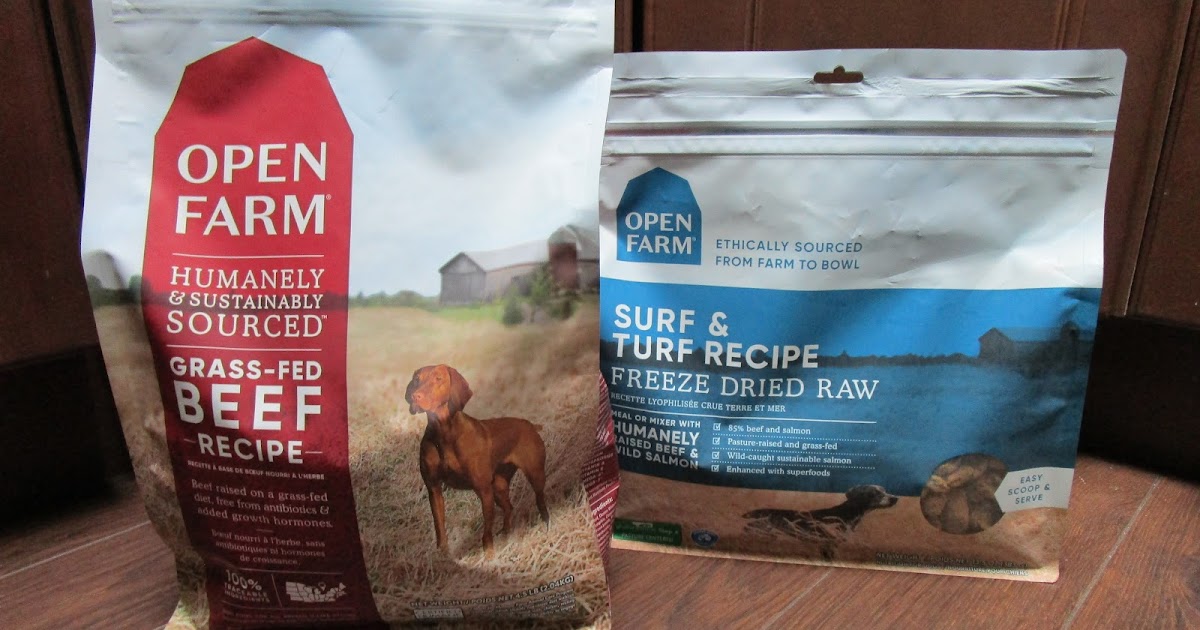 The One Dollar Jakey is Loving His Open Farm Pet Food